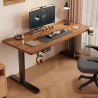 SUNNY BIERE STORE 24/48 inches Electric Desk Adjustable Height Electric Standing Desk