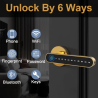 Tuya WIFI Remote Unlock Door Knob Smart Fingerprint Door Lock Biometric Digital Handle Lock